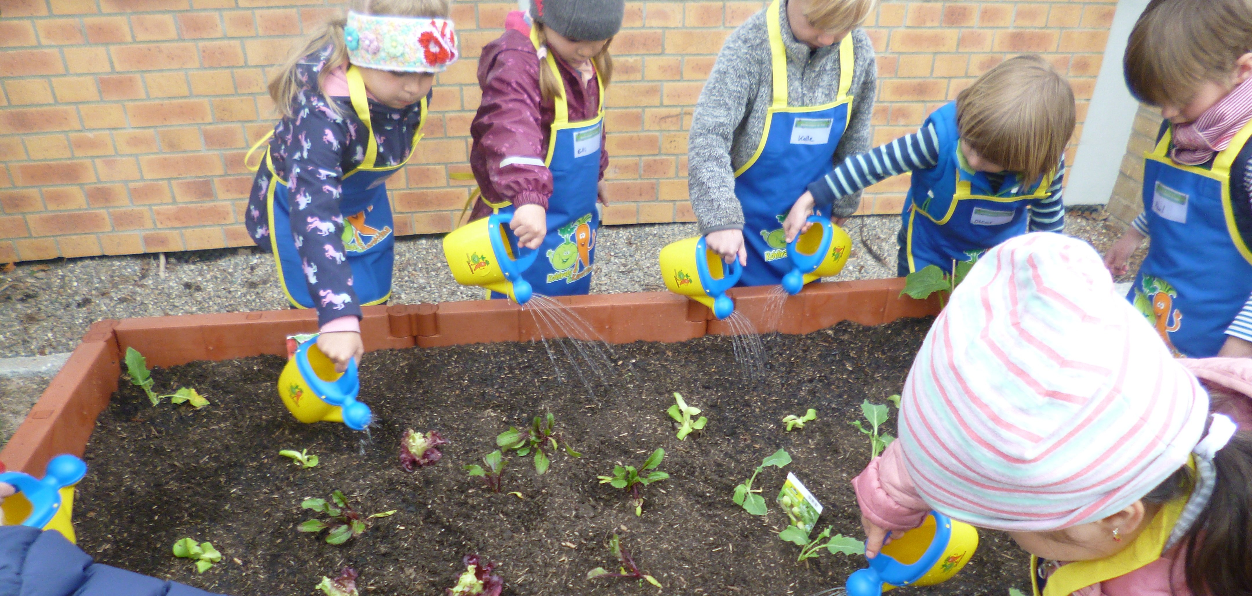 Kinder gießen Beet in der Kita Schuldorf