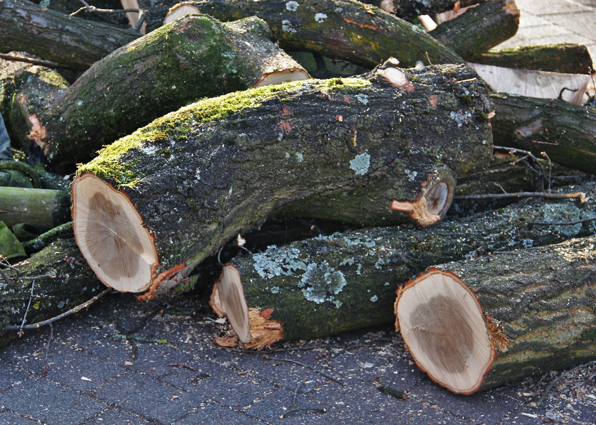 Stapel mit Baumstämmen Stapel mit Baumstämmen