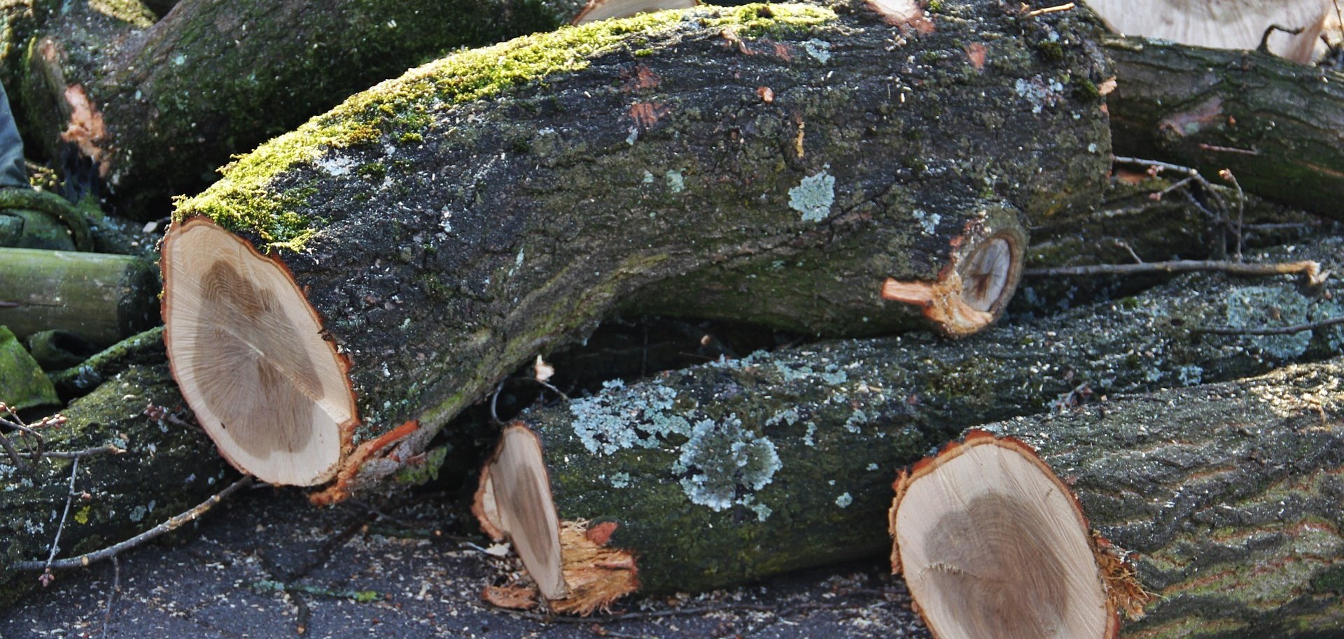 Stapel mit Baumstämmen
