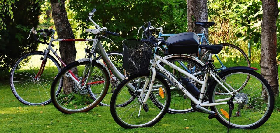 Drei Fahrräder auf Wiese