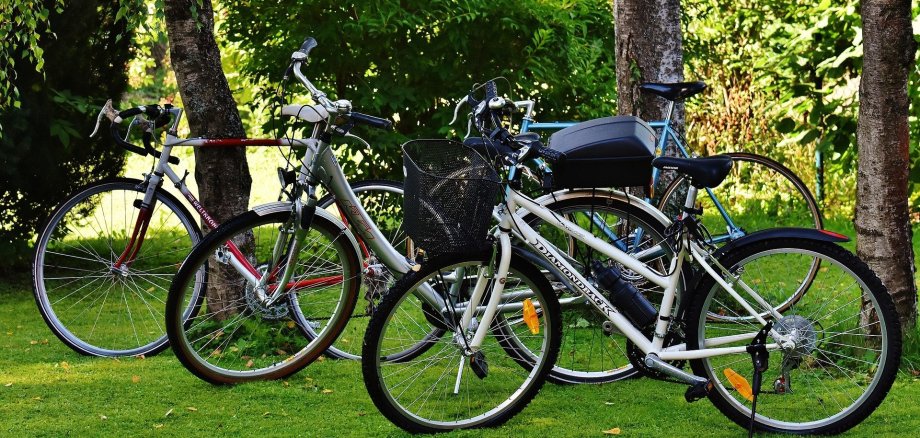 Drei Fahrräder auf Wiese