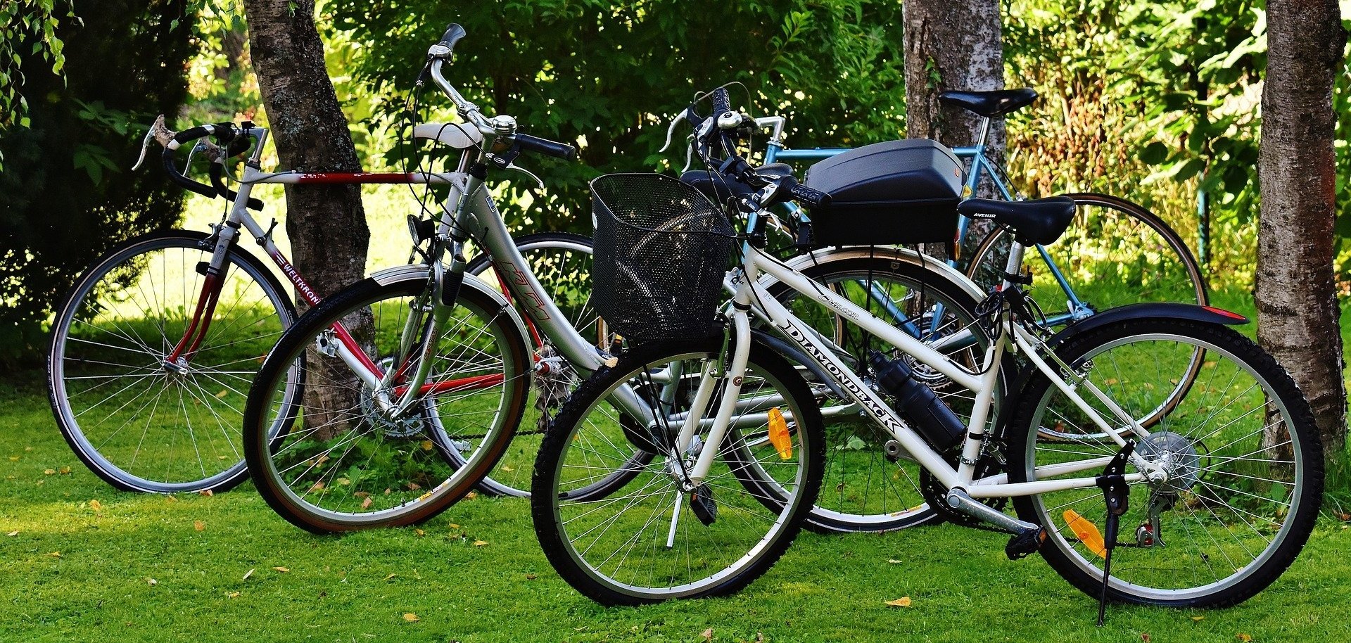 Drei Fahrräder auf Wiese