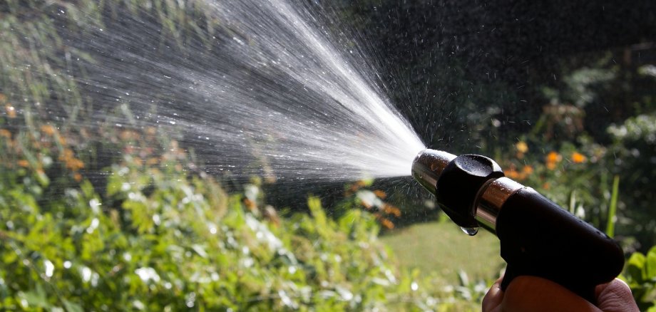 Spitze zur Gartenbewässerung