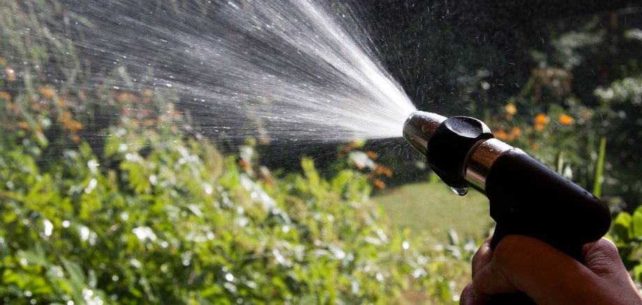 Spitze zur Gartenbewässerung