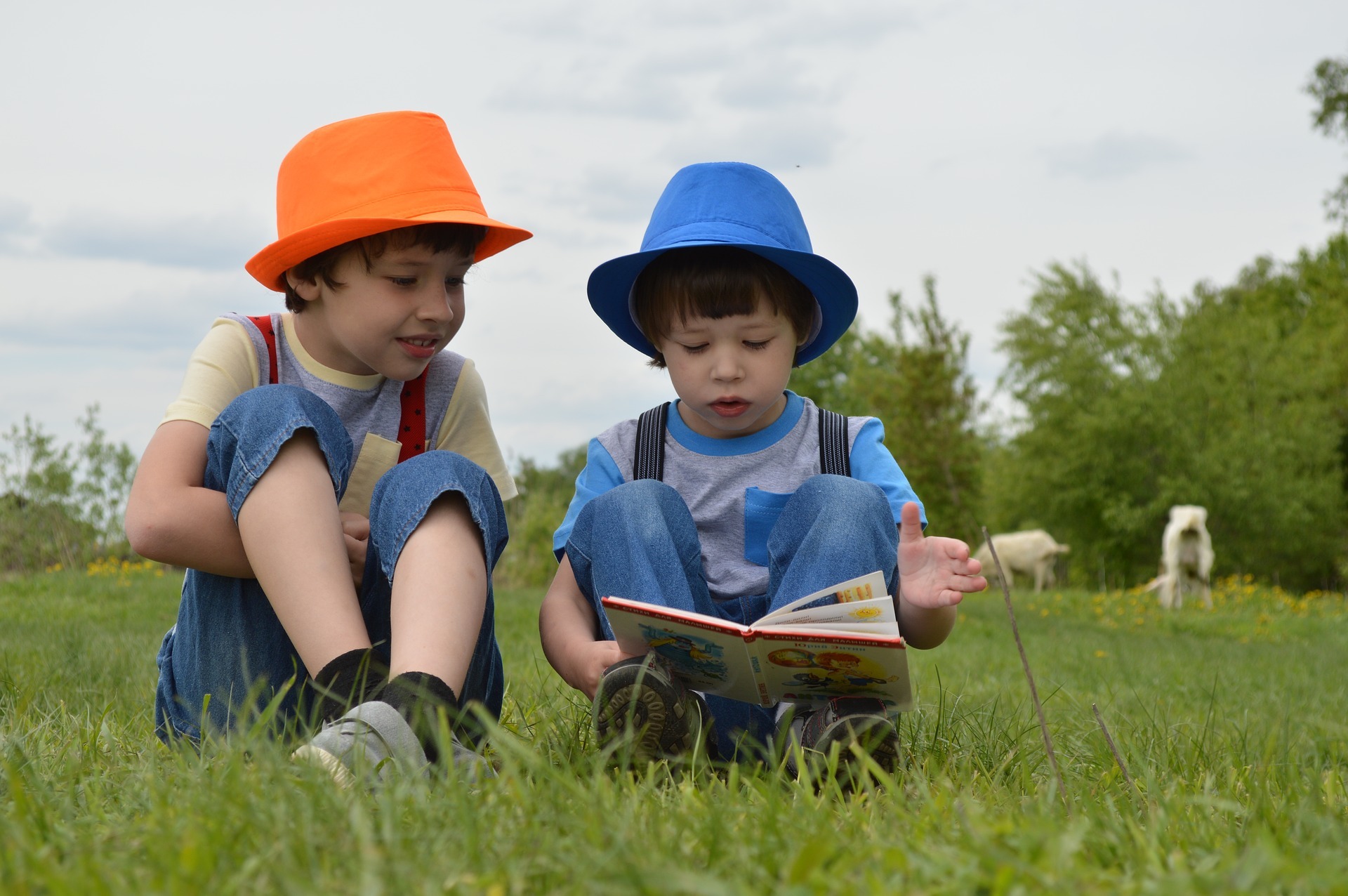 Zwei kleine Jungen, die sich gemeinsam ein Buch anschauen Zwei kleine Jungen, die sich gemeinsam ein Buch anschauen