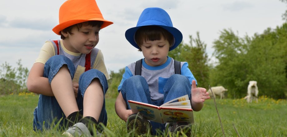 Zwei kleine Jungen, die sich gemeinsam ein Buch anschauen