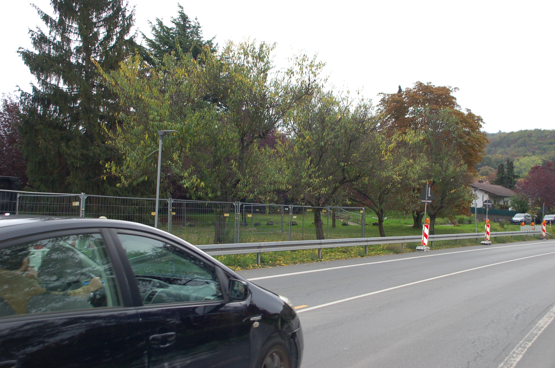 Mandelbaeume mit Spitzenduerre