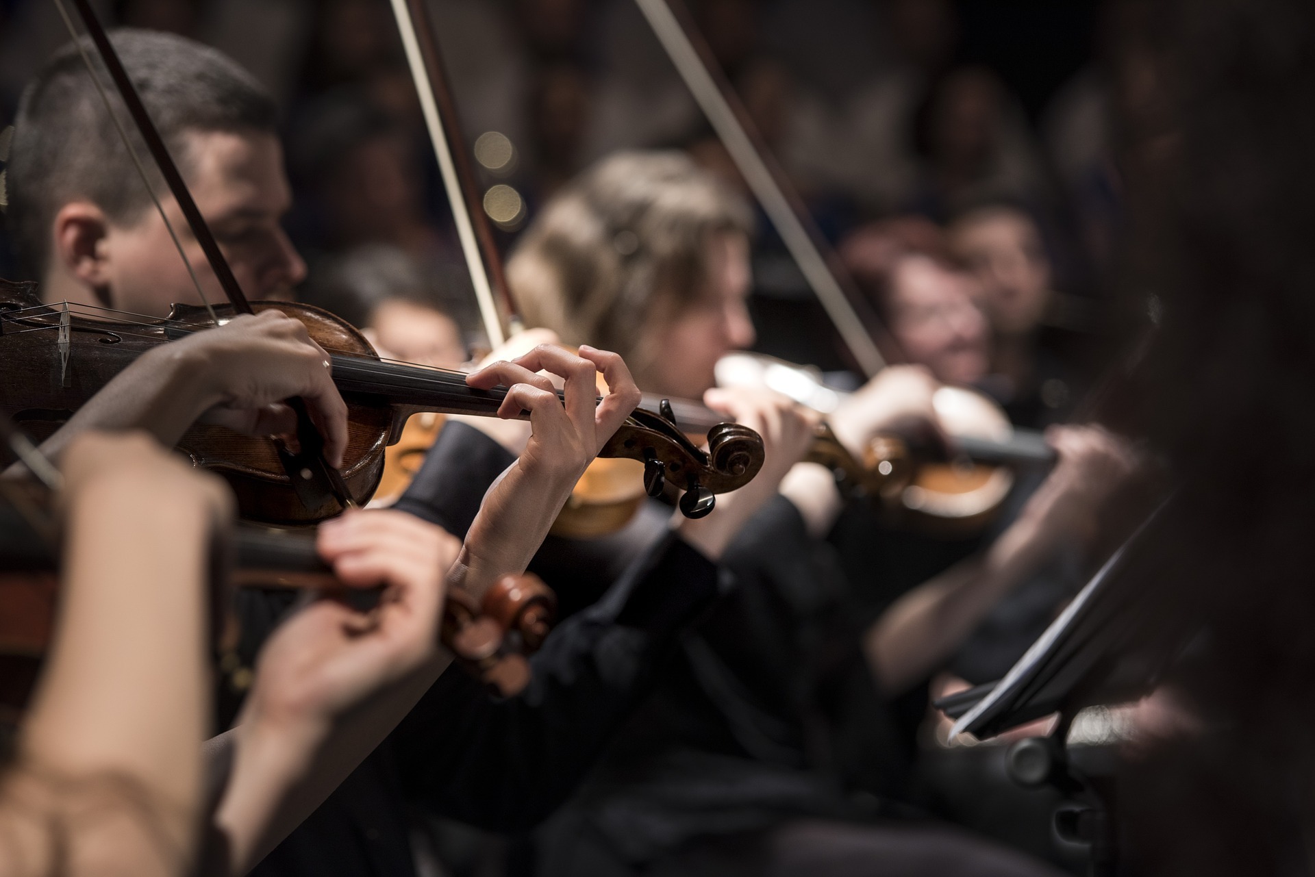 Geiger im Orchester Geiger im Orchester