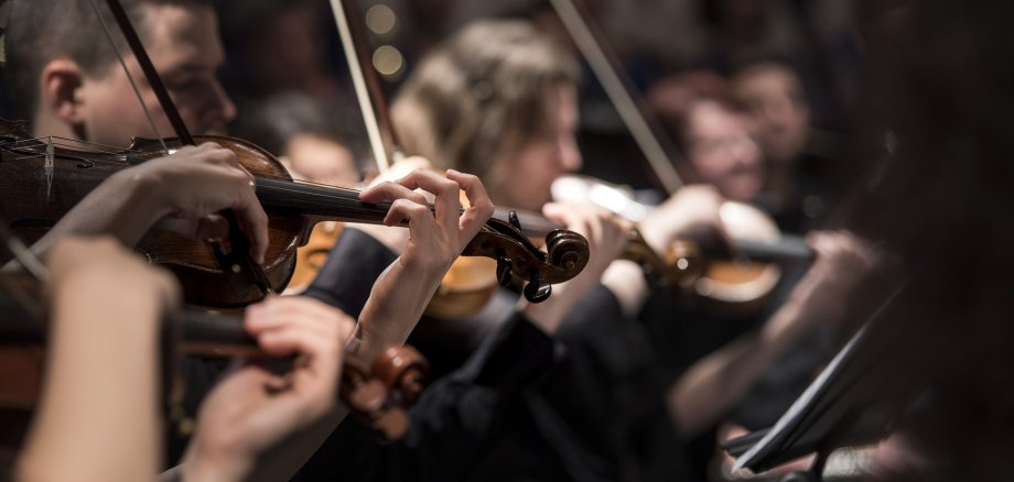 Geiger im Orchester