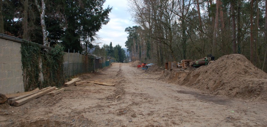 Schneise am Waldrand an der Baumaßnahme Tannenbergsammler