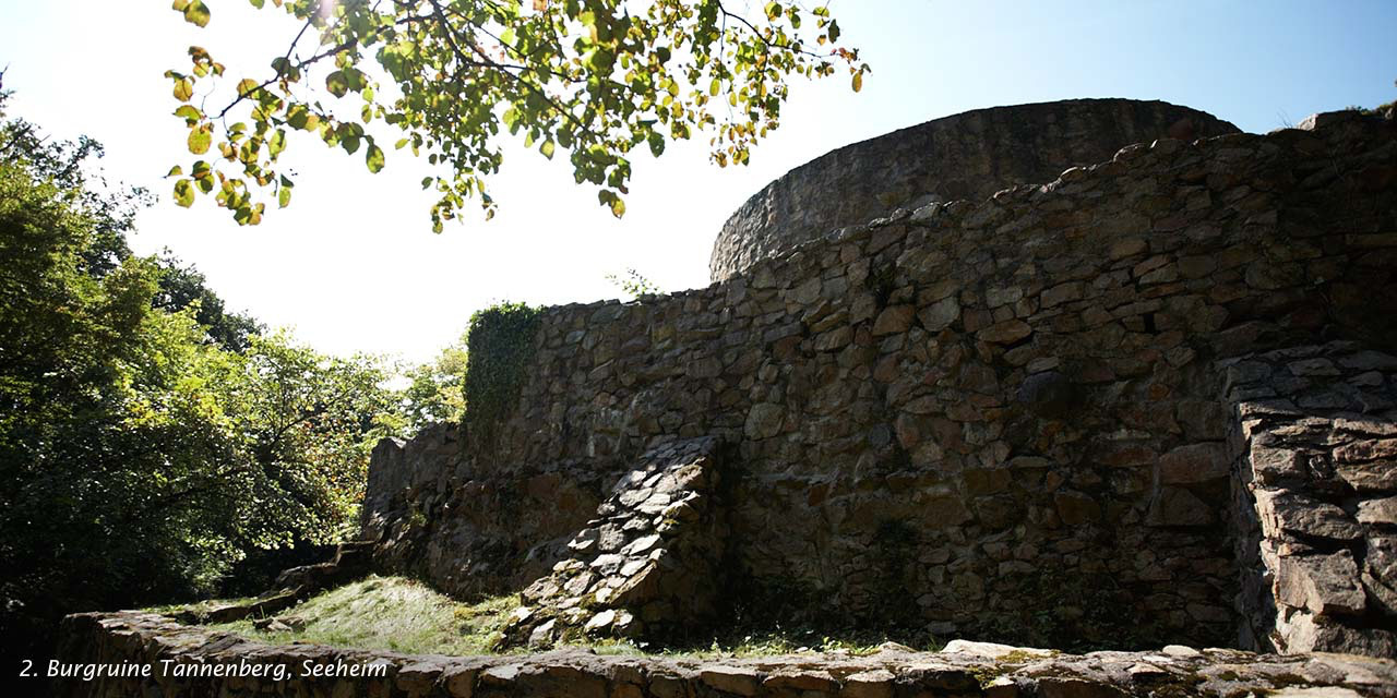 Tannenberg Burgruine Tannenberg mit dem Wehrturm