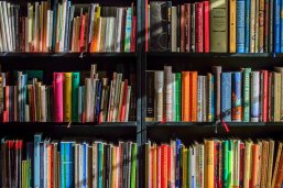 Bücher im Regal