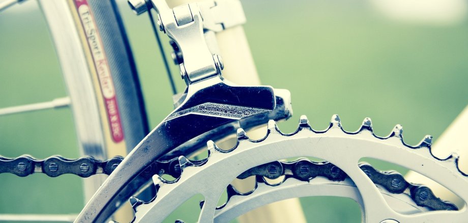 Fahrraddetail Zahnrad eines Fahrrades