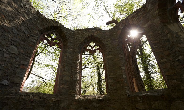 Ruine bei Schloss Heiligenberg