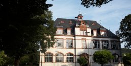 Rathaus Rathaus in Seeheim mit Baum davor