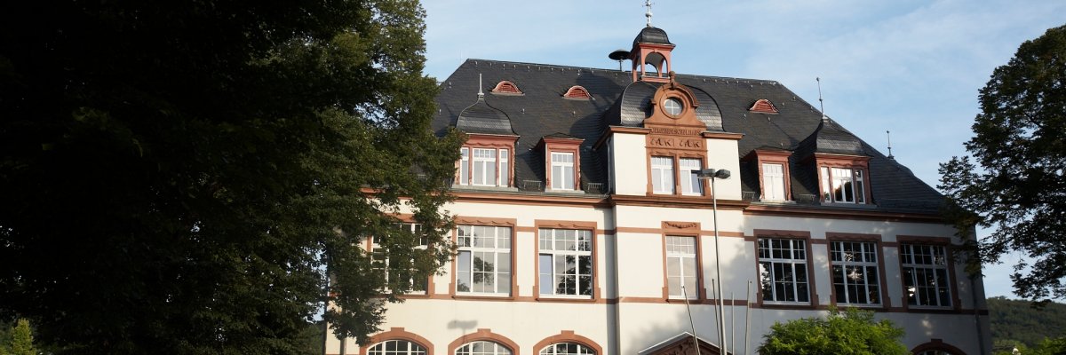Rathaus in Seeheim mit Baum davor