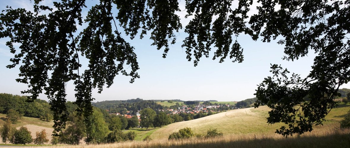 Landschaftsaufnahme aus Seeheim-Jugenheim