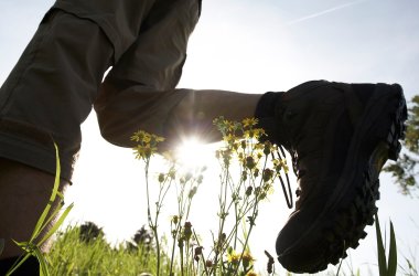 Wandern Wanderer Beine mit Wanderschuhen