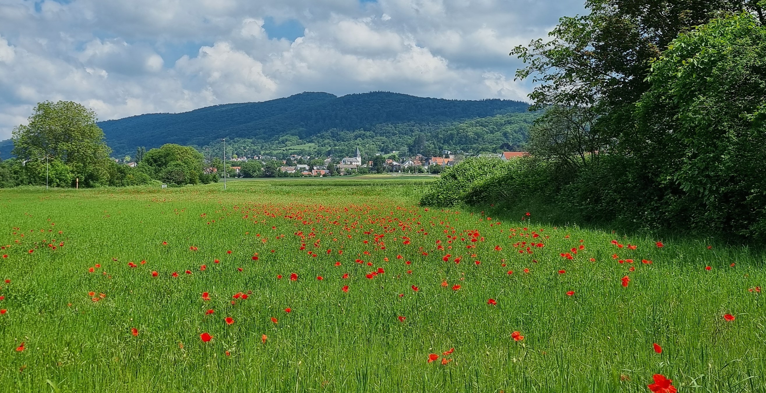 Seeheim - Jugenheim | Seeheim - Jugenheim