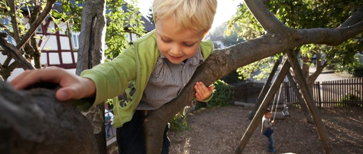 ein Kind, das einen Baum hochklettert