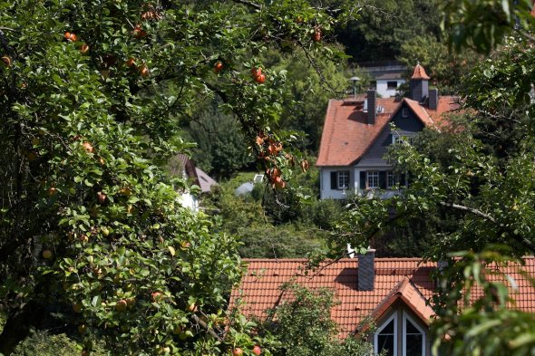 Stettbach Stettbach inmitten grüner Bäume