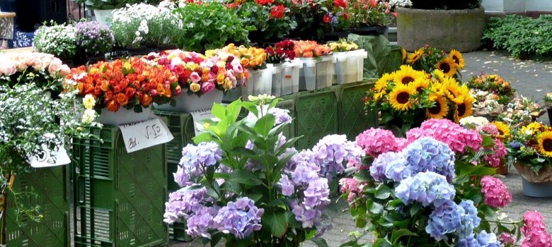 Blumenstand auf dem Wochenmarkt mit farbigen Blumensträußen