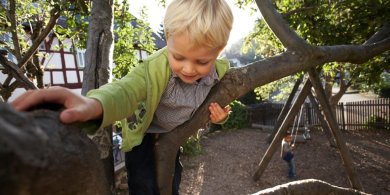 Kind klettert im Baum