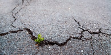 gerissener Asphalt Risse im Asphalt