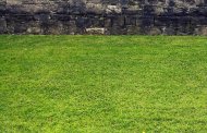Mauer mit Rasen